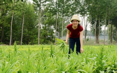 BBC Dialogues: China’s Organic Farming Pioneer, Shi Yan
