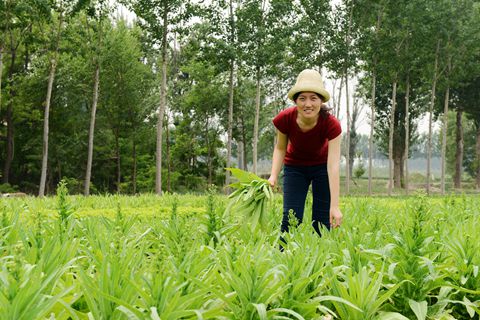 BBC Dialogues: China’s Organic Farming Pioneer, Shi Yan