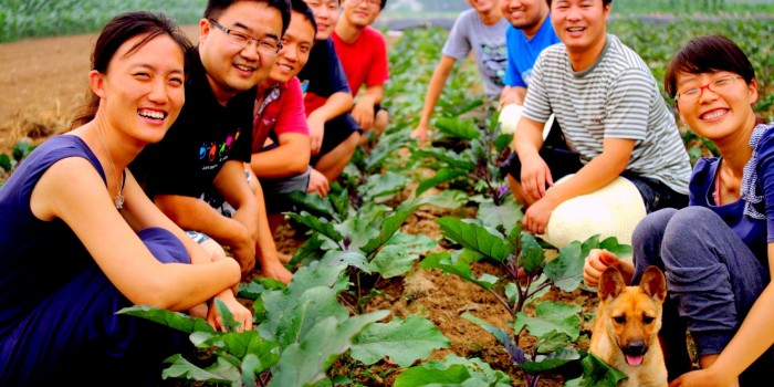 Shared Harvest Team, China 石嫣和她的团队照片1-700x350