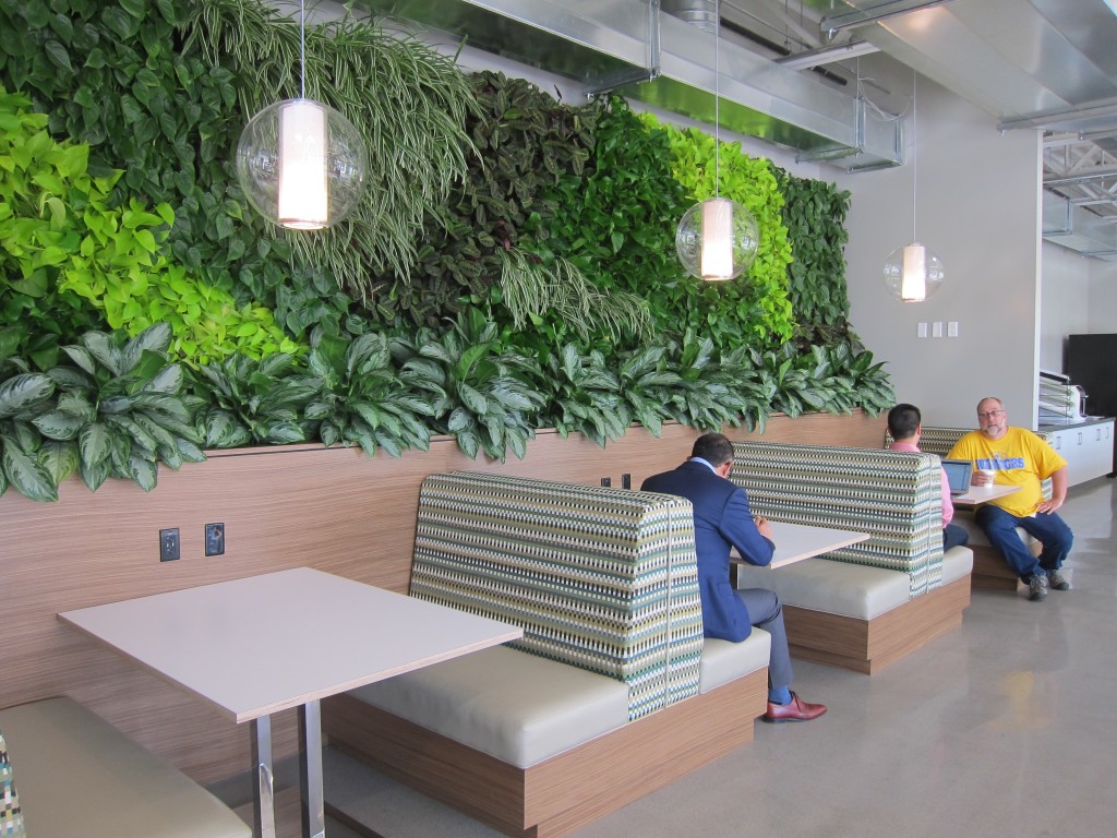 Living wall at NextEV HQ, photo by Alison van Diggelen