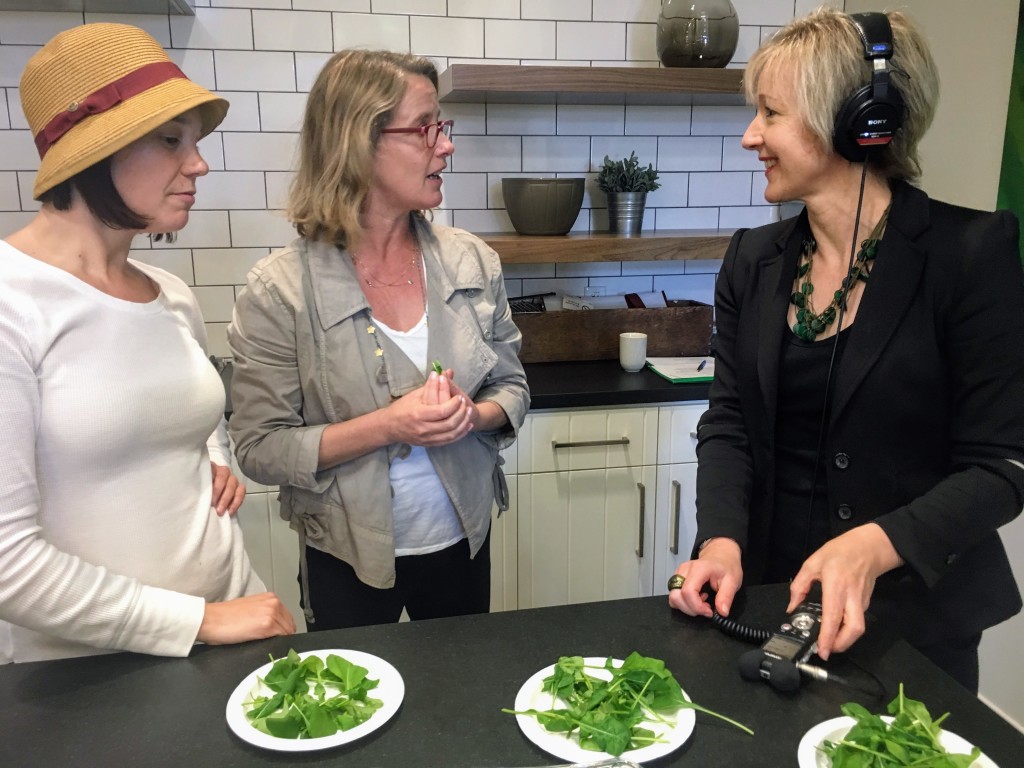 Taste testing at Plenty Vertical Farms